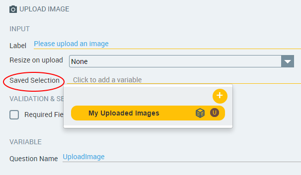 205262146-SavedSelectionVars.png
