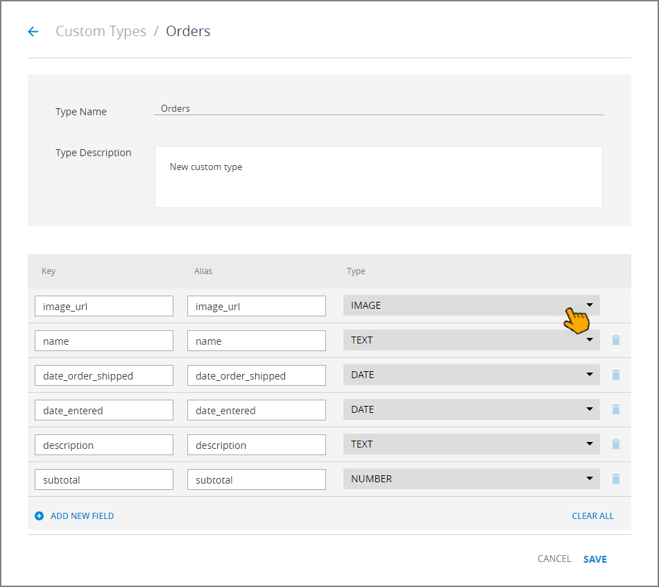 AddNewCustomType-Detail_110917.png